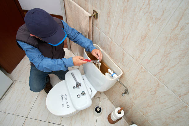 Best Commercial Plumbing Services  in Randolph, NE
